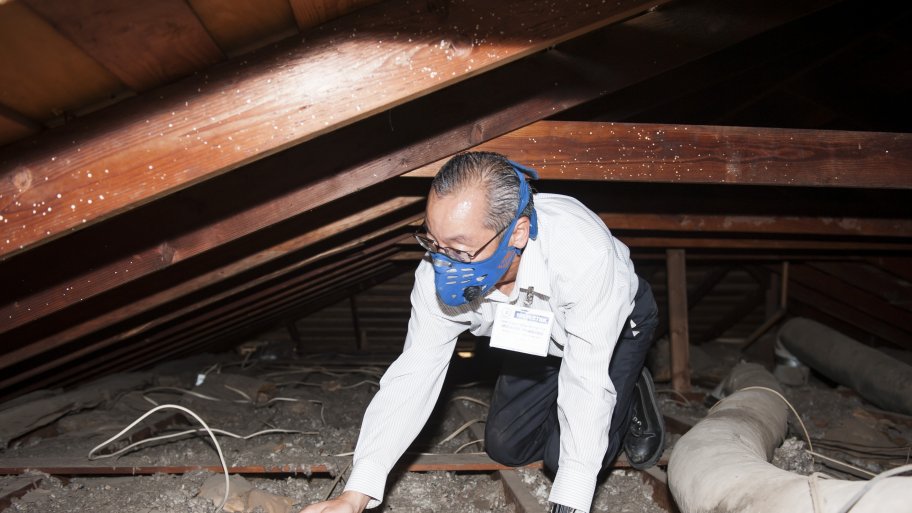 home inspector in the attic